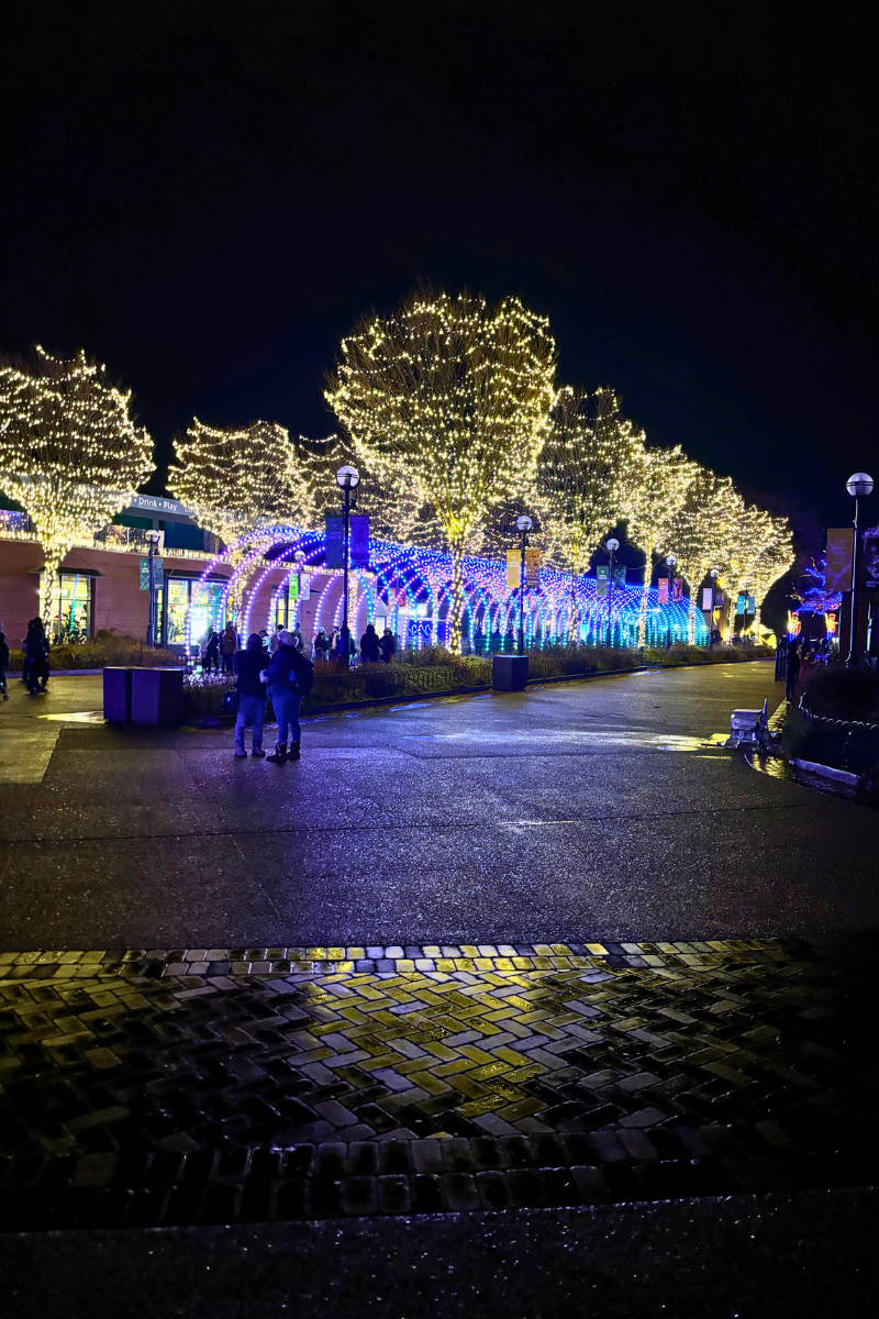 My 2024 Chicago Holiday Bucket List